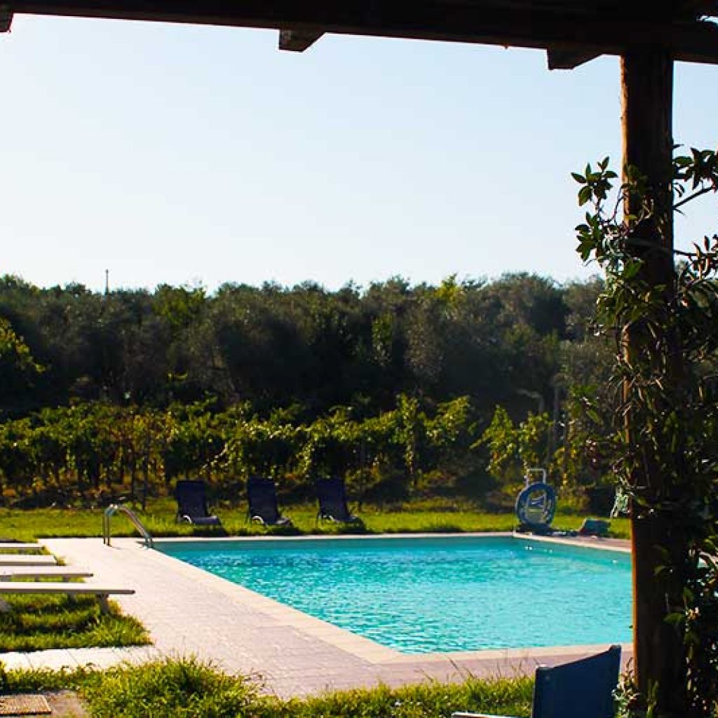 Gallery-Casa-Magi_pool-vinyard